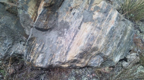 Гигантские зелёные валуны для ландшафтного дизайна весом более 5 тонн купить в Каменск-Уральском