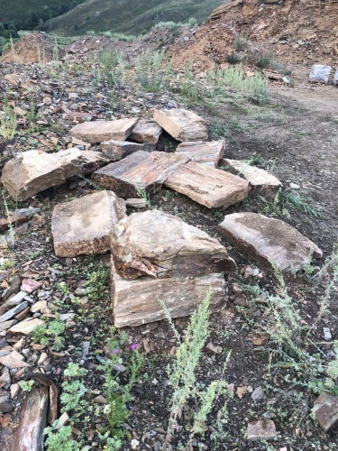 Плитняк кора дерева 50-100мм для пошаговых дорожек купить в Каменск-Уральском